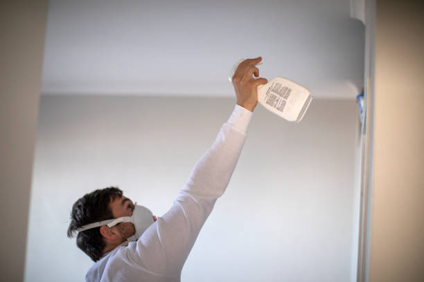 Best Bathroom Mold Remediation in North Fork, CA