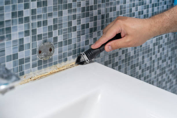 Best Post-Flood Mold Remediation in North Fork, CA